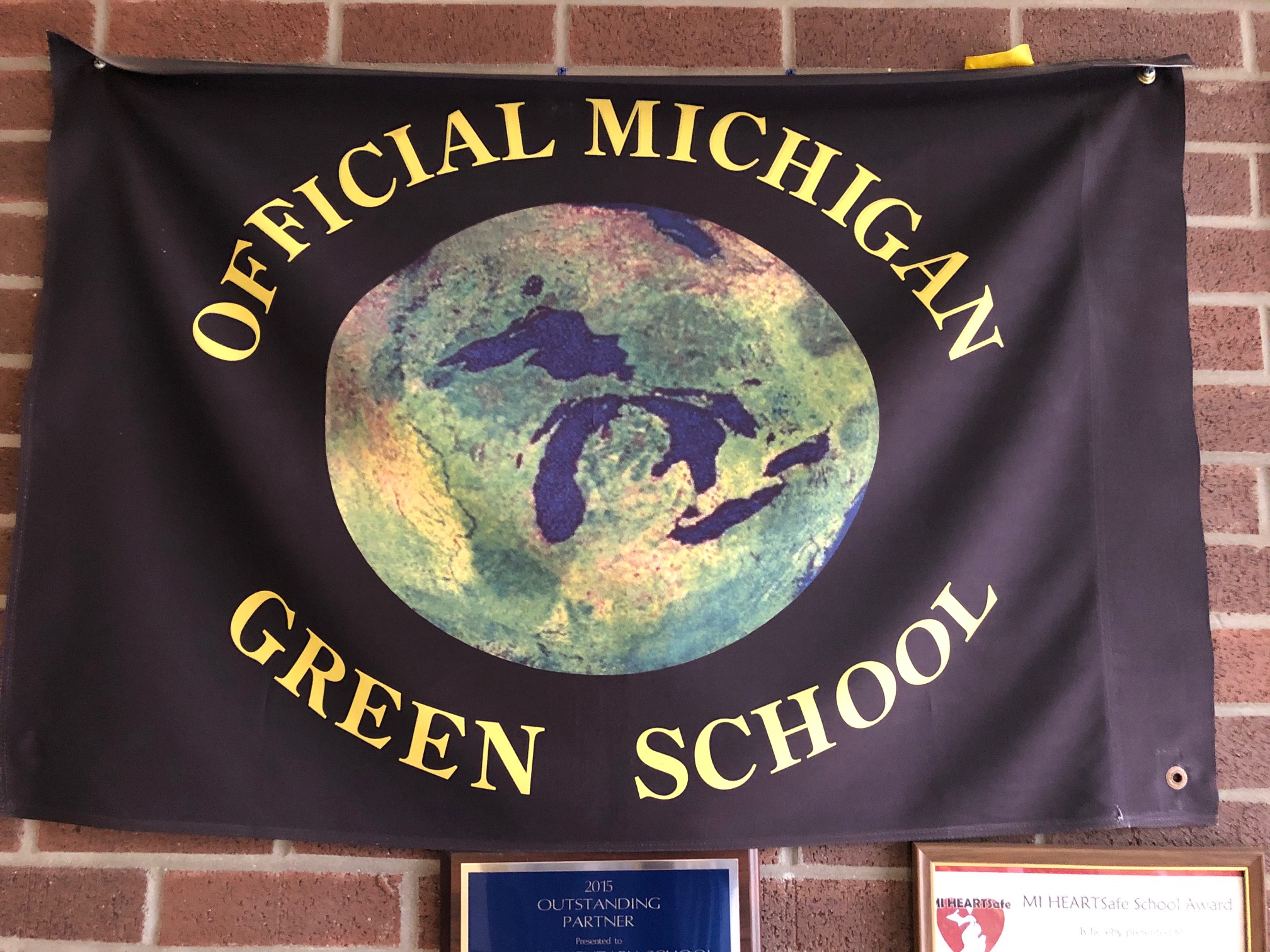 Green school flag